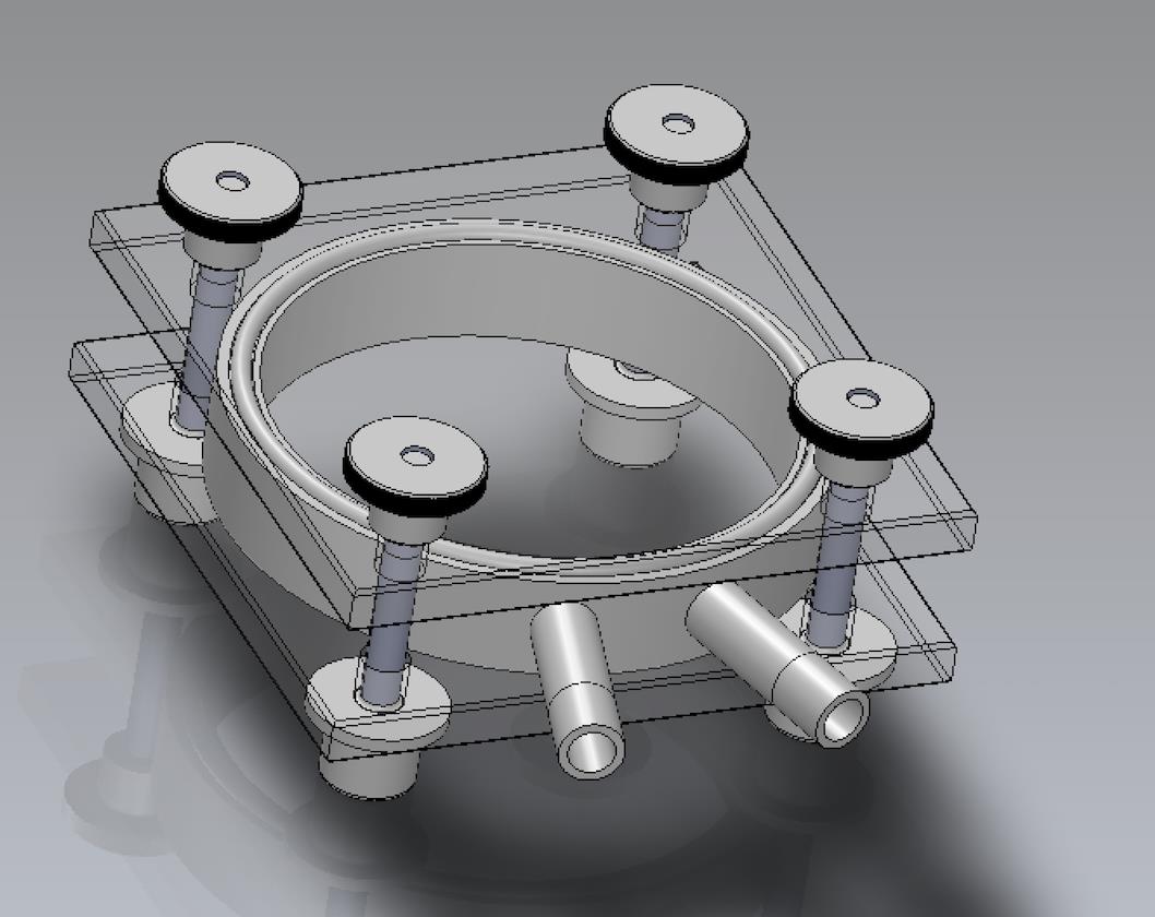 Sieg-Mi-Flex kombi-Migrationszelle